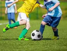 双色球,期揭秘,红球热势前,Ebpay安全承兑,Ebpay回收销售,Ebpay承兑,Ebpay充值