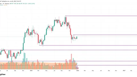 台媒透露汪小菲大S关系紧张，男方急返家安慰大S