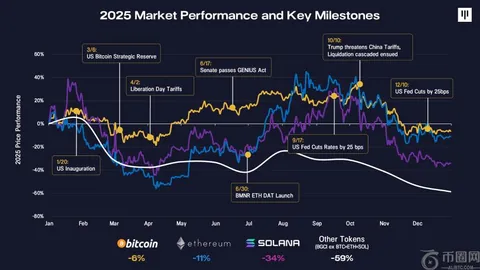揭秘特朗普真情告白：快乐重生之旅，见证美国复兴奇迹 —— 币币情独家解读
