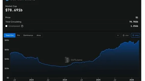 Polymarket精选分析：五大领域政治天气科技文化体育智